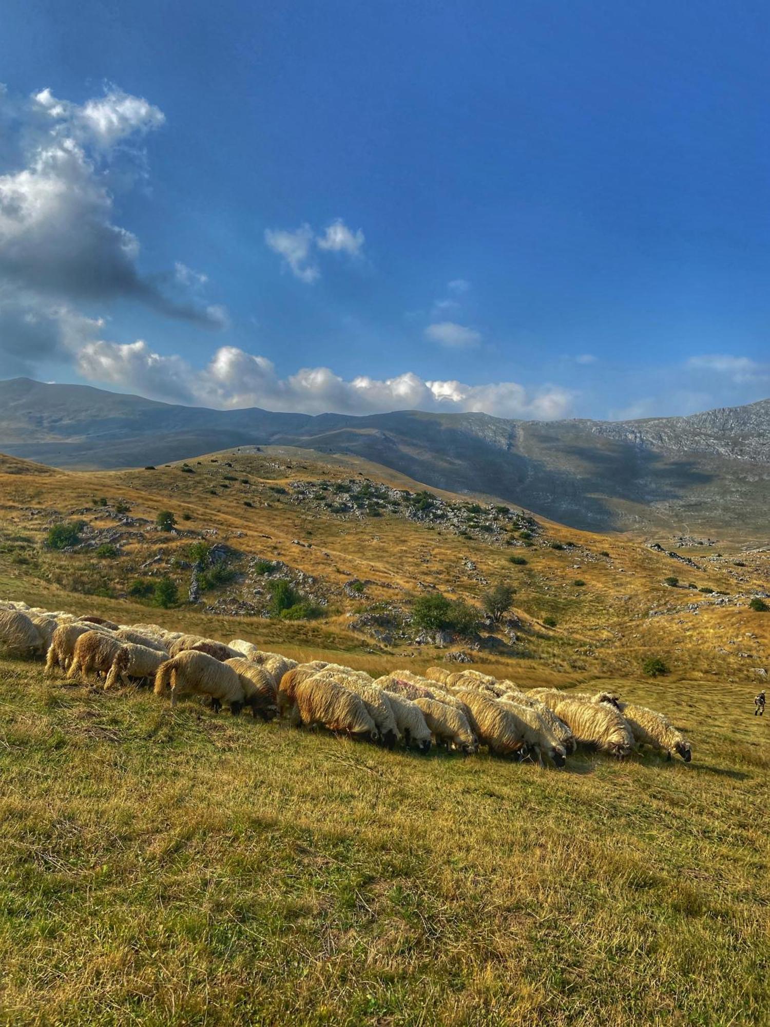 Апартаменты Konak Umoljani Экстерьер фото